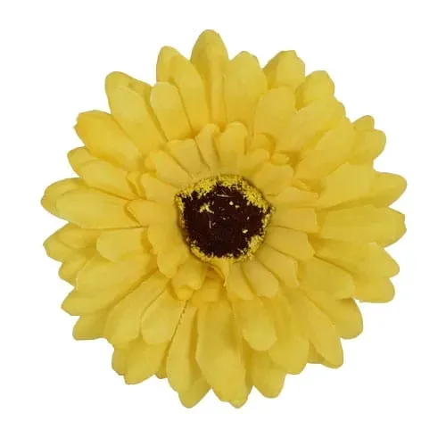gerbera-glowka-musztardowa