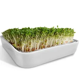 sitko-do-rzezuchy-zellgut-ceramiczne-12-cm-misa-kielkowania-mikrozielonych
