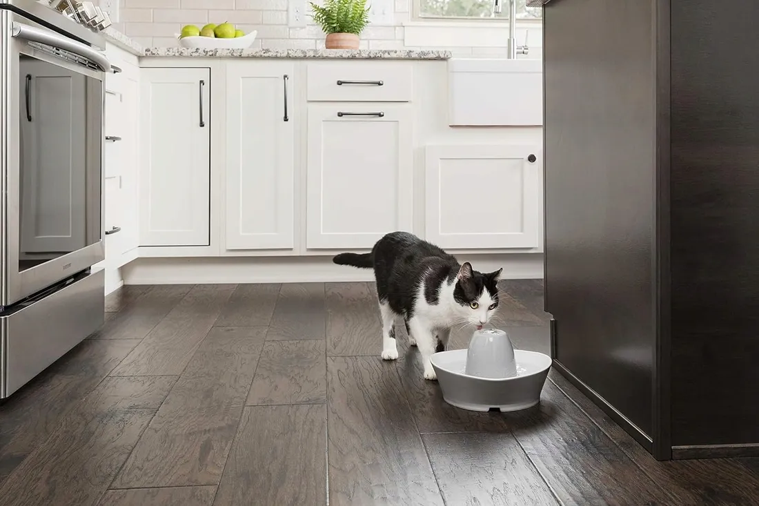 petsafe-ceramiczna-fontanna-do-picia-streamside