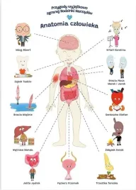 plakat-edukacyjny-anatomia-czlowiek-a2