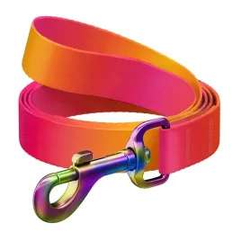 waudog-smycz-dla-psa-nylonowa-15mm-122cm-gradient-pomaranczowa-do-spacerow