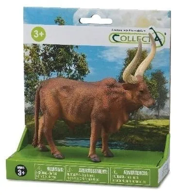 byk-ankole-watusi