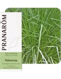olejek-eteryczny-palmaroza-palmarosa-palczatka-imbirowa-cymbopogon
