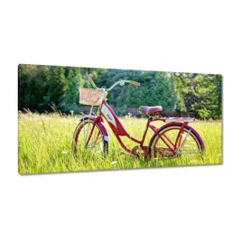 obrazy-115x55-rowery-rowerki-dwa-kolka