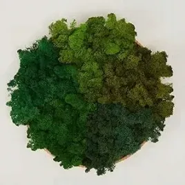 prefleur-zakonserwowany-mech-chrobotek-naturalna-ozdoba-poduszka-kok