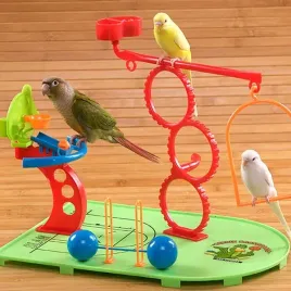 plac-zabaw-dla-malych-papug