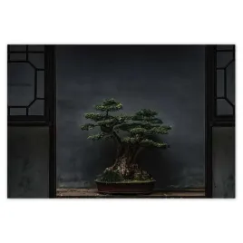 plakaty-200x135-bonsai-drzewko-kultura