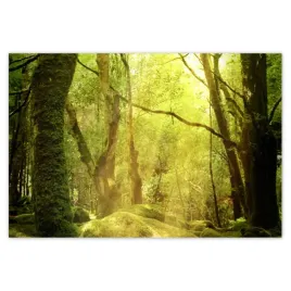 plakaty-155x105-magiczny-las-krajobraz