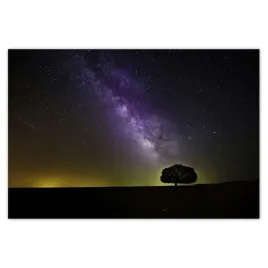 plakaty-200x135-gwiazdzista-noc