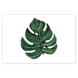 plakaty-93x62-monstera-zielony-lisc