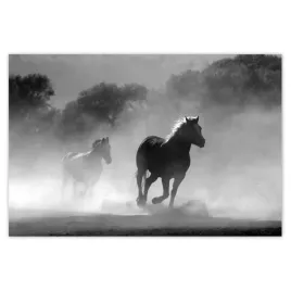 plakaty-120x80-galopujace-konie