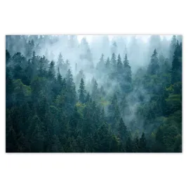 plakaty-93x62-las-we-mgle-podrozowanie