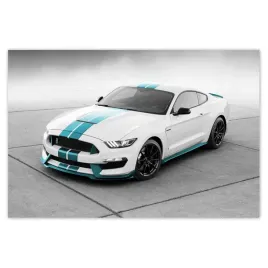 plakaty-93x62-mustang-ford-samochod