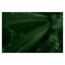plakaty-93x62-zielen-butelkowa-kosmos