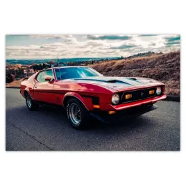 plakaty-93x62-mustang-mach-1-from-usa