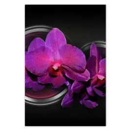 plakaty-62x93-fioletowa-orchidea