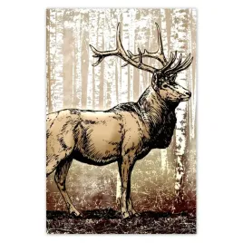 plakaty-80x120-jelen-w-lesie-brzozy