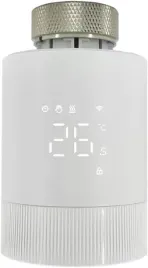 smart-thermostat-kompatybilny-z-alexa-google-smartthings-energooszczedny