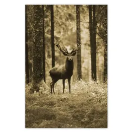 plakaty-80x120-jelen-w-lesie-sepia