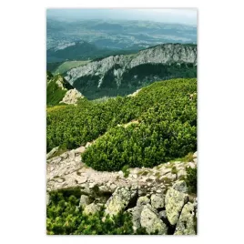 plakaty-80x120-tatry-polskie-gory-widok