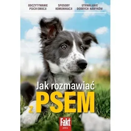 jak-rozmawiac-z-psem