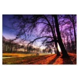plakaty-200x135-park-w-wasowie