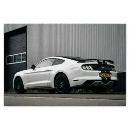 plakaty-200x135-ford-mustang-z-pasami