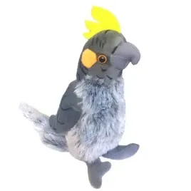 papuga-nimfa-szara-17-cm
