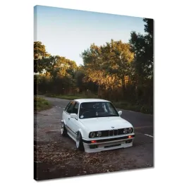 obrazy-40x50-bmw-3
