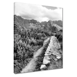 obrazy-40x50-tatry-polskie-gory-widok