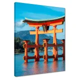 obrazy-40x50-torii