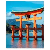 obrazy-40x50-torii-stan-nowy