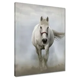 obrazy-40x50-kon-konie-jezdziectwo