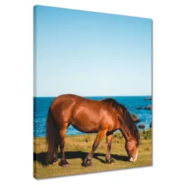 obrazy-40x50-kon-konie-jezdziectwo