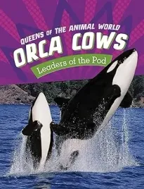 orca-cows-leaders-of-the-pod-ksiazka-przyrodnicza-o-orkach-po-angielsku