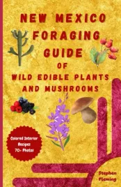 new-mexico-foraging-guide-przewodnik-po-roslinach-i-grzybach-w-j-angielskim