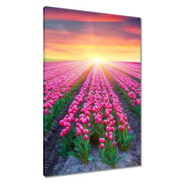 obrazy-60x90-morze-tulipanow-kwiaty
