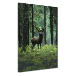 obrazy-60x90-piekny-jelen-wsrod-drzew