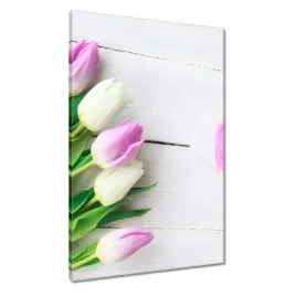 obrazy-60x90-delikatne-tulipany