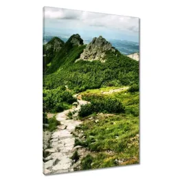 obrazy-60x90-polskie-tatry-gory