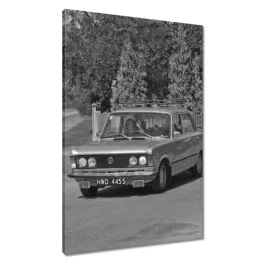 obrazy-60x90-duzy-fiacik-125p