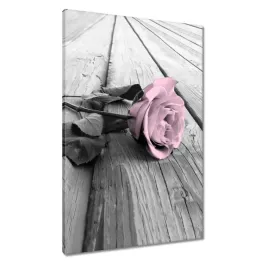 obrazy-60x90-pudrowy-roz-old-pink-rose