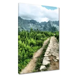 obrazy-60x90-kamienista-droga-tatry