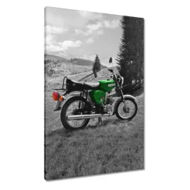 obrazy-60x90-zielony-simson-s51-e