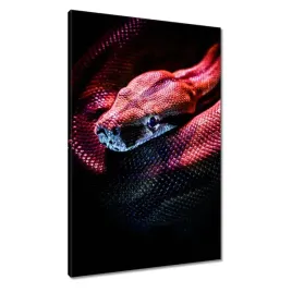 obrazy-60x90-zwierzeta-zwierzatka