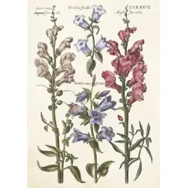 karnet-st512-b6-koperta-niebieskie-kwiaty-skona-ting