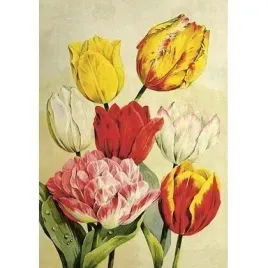karnet-st508-b6-koperta-tulipany-skona-ting
