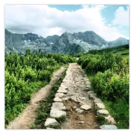 plakaty-50x50-kamienista-droga-tatry
