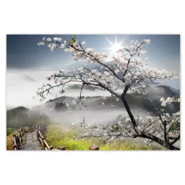 plakaty-60x40-japonia-kwitnaca-wisnia