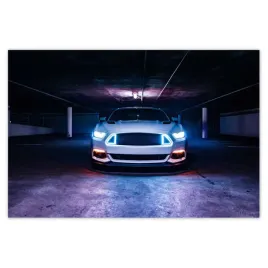 plakaty-60x40-ford-mustang-samochod